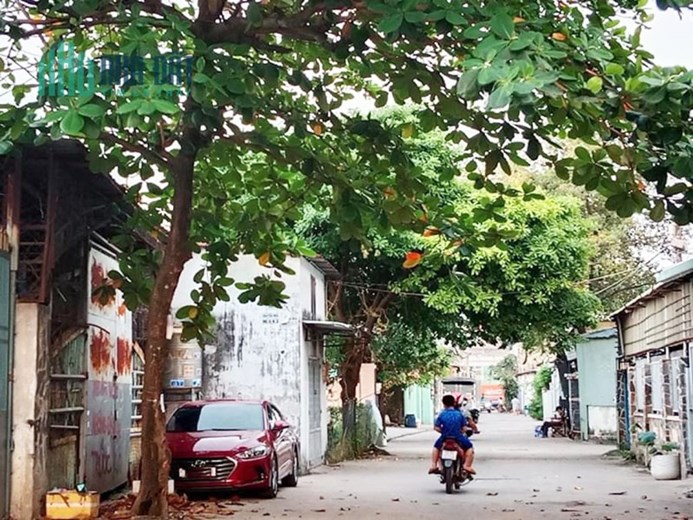 HẺM XE TẢI TRÁNH THÔNG, GẦN MẶT TIỀN LÊ VĂN KHƯƠNG QUẬN 12, 80M2, NGANG 5M HIẾM, NHÀ C4