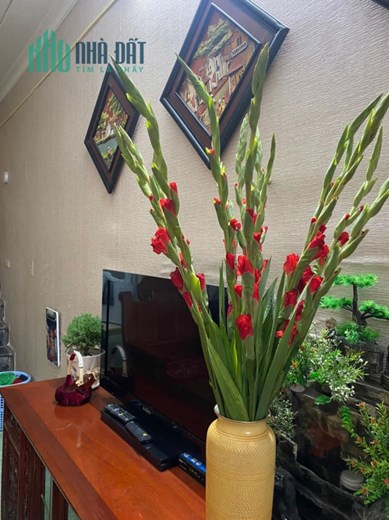 Bán nhà 47m2 phố Nghi Tàm, Tây Hồ Gara 2 Ô tô Dân xây 5 ngủ 7.3 Tỷ