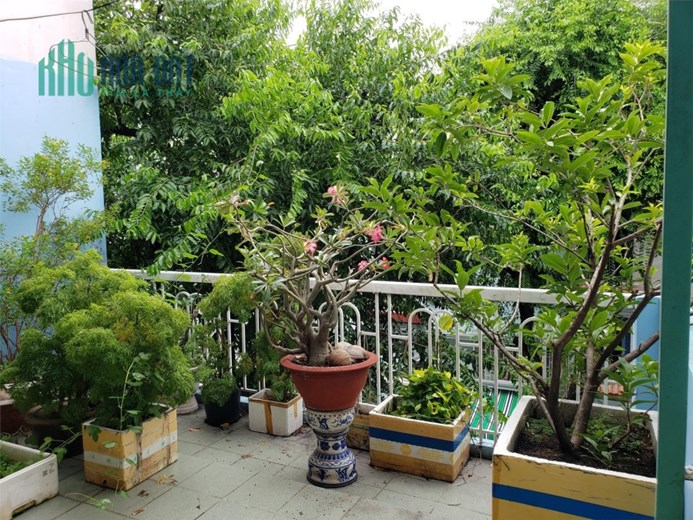 GẤP QUÁ-Bán Nhanh Trong Tuần, Mặt Tiền Huỳnh Mẫn Đạt Quận5-5Tầng-51m2-Nhỉnh 14Tỷ