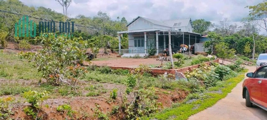 KẸT TIỀN BÁN GẤP 5 LÔ ĐẤT 1.260M2 THỔ CƯ, SÁT CHỢ, KCN, GIÁ 205 TRIỆU