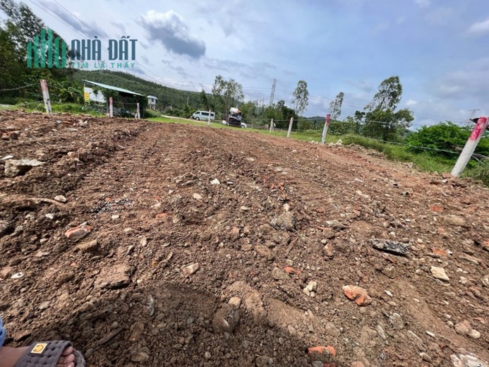 Cần bán nhanh lô đất mặt tiền xã đại hiệp thuộc quốc lộ 14b, Xã Đại Hiệp, Huyện Đại Lộc, Quảng Nam,