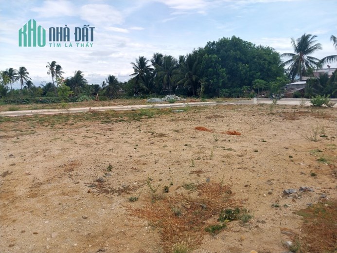 Bán nhanh lô đất 100m2, MT 5m giá 998 triệu ngay kDC Tân Hội gần đường Thống Nhất TP. Phan Rang
