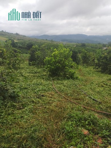 ĐẤT ĐẸP - GIÁ TỐT - Cần Bán Lô Đất Vị Trí Xã Mê Linh, Huyện Lâm Hà, Lâm Đồng