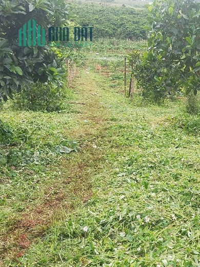 ĐẤT ĐẸP - GIÁ TỐT - Cần Bán Lô Đất Vị Trí Xã Mê Linh, Huyện Lâm Hà, Lâm Đồng
