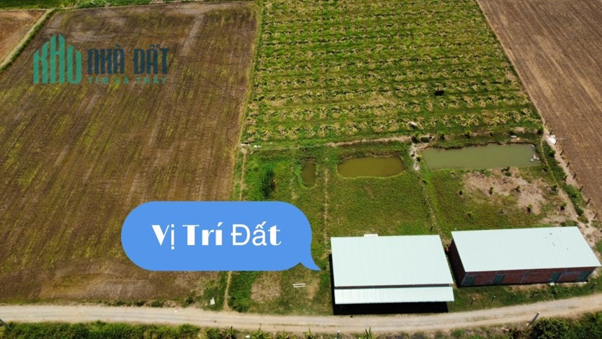 Đất dân cư full thổ sát KCN Hòa Bình + Long Hậu thông TP Tân An