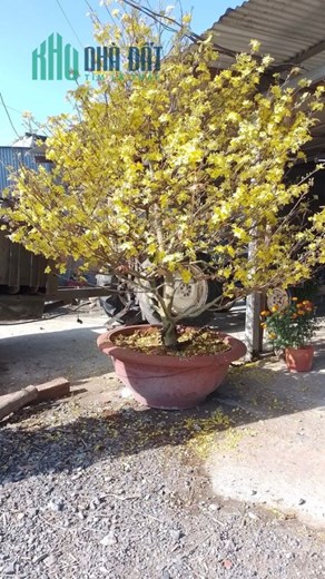 Chính Chủ Bán Đất Mặt Tiền Sổ Hồng Riêng Giá Rẻ Tại Tây Ninh.