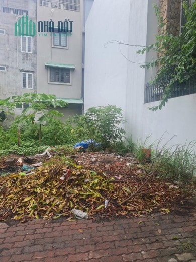 Bán lô đất 59m2 ngay đường Trần Hoàn, giá 60tr/m2