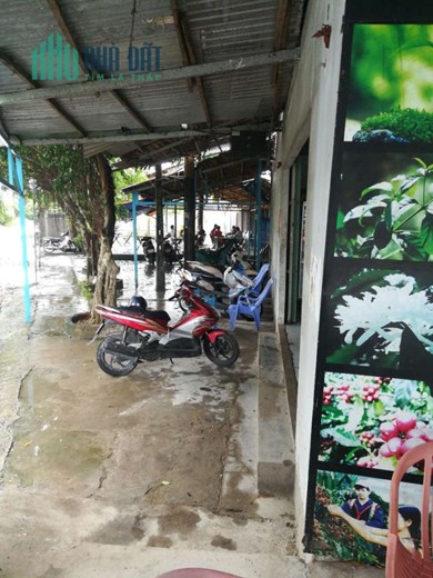 Cho thuê Đất có nhà cấp 4 và làm mái che cố định thuận tiện kinh doanh
