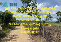 ĐẤT ĐẸP - GIÁ NGỘP Cần Tiền Ra Gấp Lô Đất Vị Trí ĐẮC ĐỊA Tại Xã Phú Thanh, Tân Phú, Đồng Nai