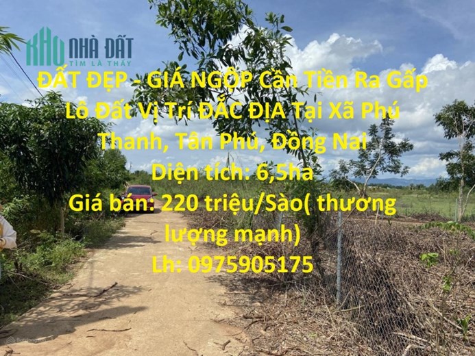 ĐẤT ĐẸP - GIÁ NGỘP Cần Tiền Ra Gấp Lô Đất Vị Trí ĐẮC ĐỊA Tại Xã Phú Thanh, Tân Phú, Đồng Nai