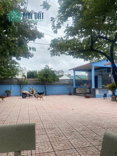 BÁN ĐẤT, TẶNG 2 NHÀ, TẶNG VƯỜN CÂY LÂU NĂM, 3100M2, ĐÀO SƯ TÍCH, NHÀ BÈ, THỎA THUẬN