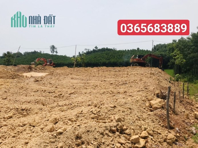 đất nền phân lô khu dân cư thọ bình triệu sơn diện tích 200m2
