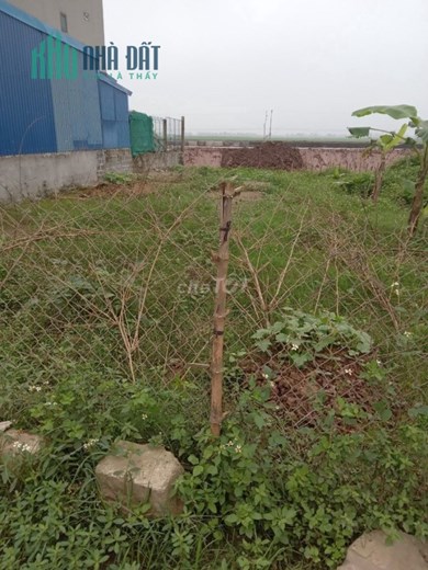 Chính chủ cần bán nhanh lô đất 2 mặt tiến thuộc TL 490 - Xã Nghĩa Sơn - Huyện Nghĩa Hưng - Nam Định.