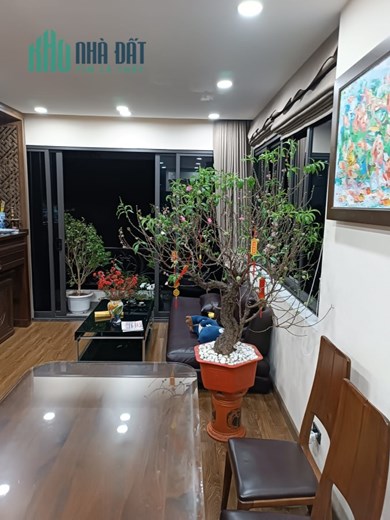 Bán Nhà Ngõ 61 Hoàng Cầu, Cạnh Công Viên, 7 Tầng Thang Máy, Oto Tránh, Vỉa Hè, dt 50m2, Chỉ 16,8 tỷ