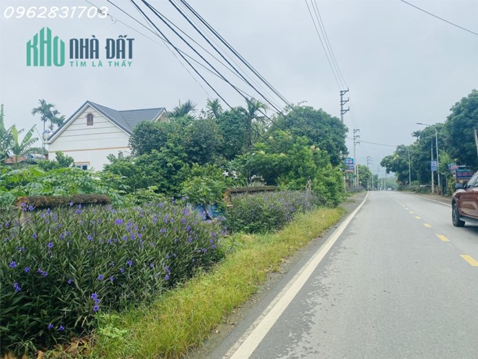 chủ cần tiền bán 1111m có 955m thổ cư trục chính giá rẻ tại phú mãn