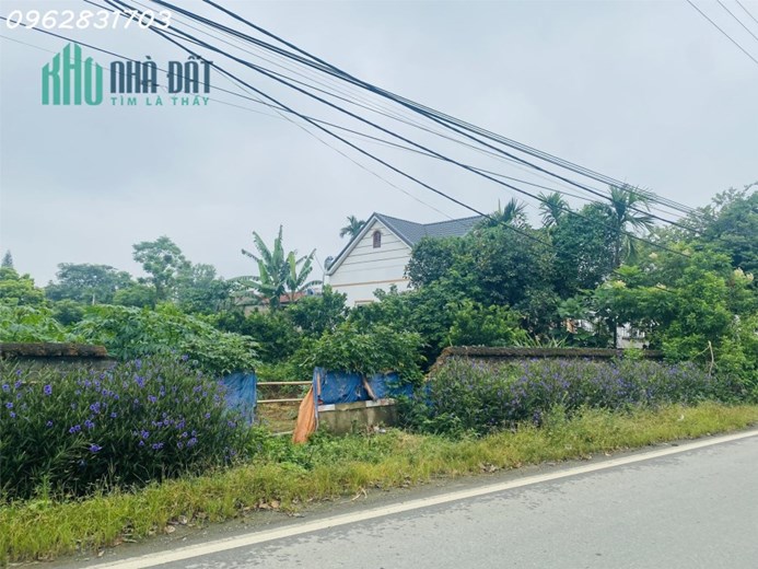 chủ cần tiền bán 1111m có 955m thổ cư trục chính giá rẻ tại phú mãn