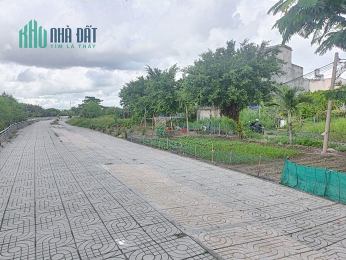 BÁN ĐẤT, 377m2 PHẠM HỮU LẦU, LIỀN KỀ KHU NINE SOUTH GIÁ CHỈ 40TR/M2