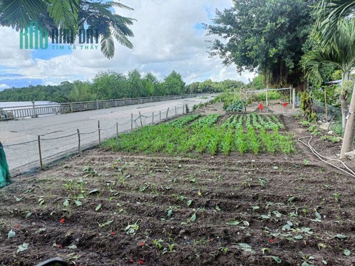 BÁN ĐẤT, 377m2 PHẠM HỮU LẦU, LIỀN KỀ KHU NINE SOUTH GIÁ CHỈ 40TR/M2