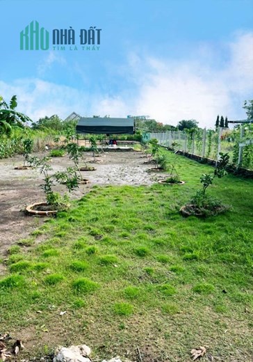 BÁN ĐẤT TCLN 1000M2= 5.5 TỶ HƯNG LONG BÌNH CHÁNH- THÍCH HỢP XÂY BIỆT THỰ VƯỜN