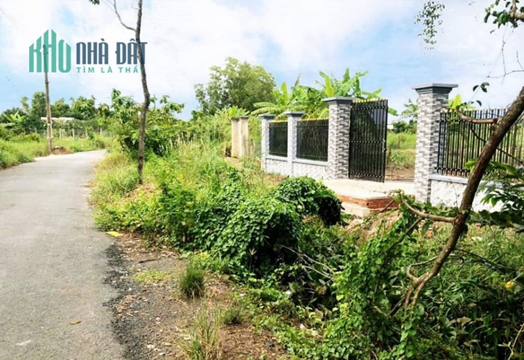 BÁN ĐẤT TCLN 1000M2= 5.5 TỶ HƯNG LONG BÌNH CHÁNH- THÍCH HỢP XÂY BIỆT THỰ VƯỜN