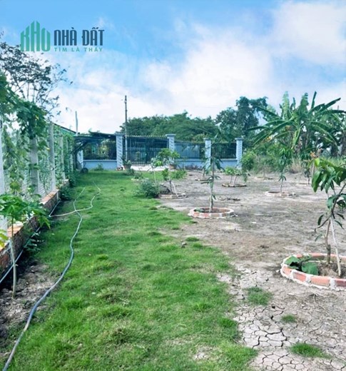 BÁN ĐẤT TCLN 1000M2= 5.5 TỶ HƯNG LONG BÌNH CHÁNH- THÍCH HỢP XÂY BIỆT THỰ VƯỜN