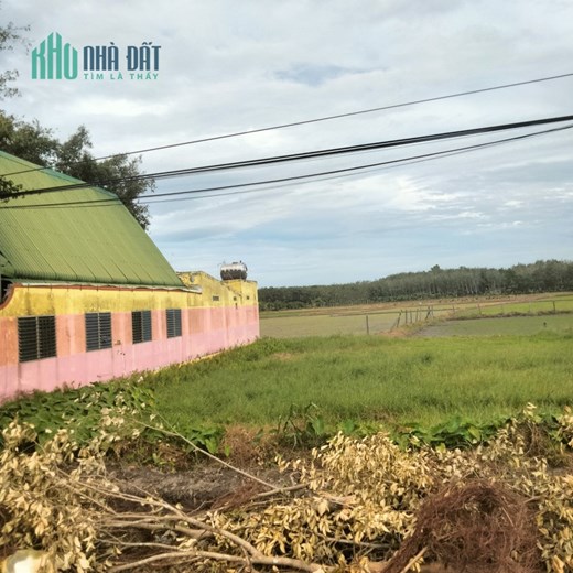 Chính Chủ Cần Bán Lô Đất tại huyện Gò Dầu, tỉnh Tây Ninh