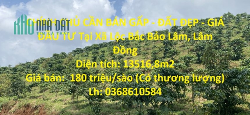 CHÍNH CHỦ CẦN BÁN GẤP - ĐẤT ĐẸP - GIÁ ĐẦU TƯ Tại Xã Lộc Bắc Bảo Lâm, Lâm Đồng