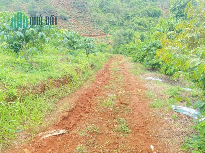 CHÍNH CHỦ CẦN BÁN GẤP - ĐẤT ĐẸP - GIÁ ĐẦU TƯ Tại Xã Lộc Bắc Bảo Lâm, Lâm Đồng