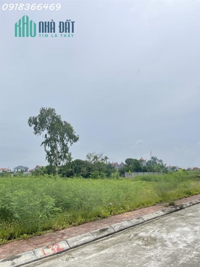 Chính chủ bán đất nền Đông Hưng, tỉnh Thái Bình giá 5.9 tr/m2,với dt 125m2, 737,500,000 đ 1 lô