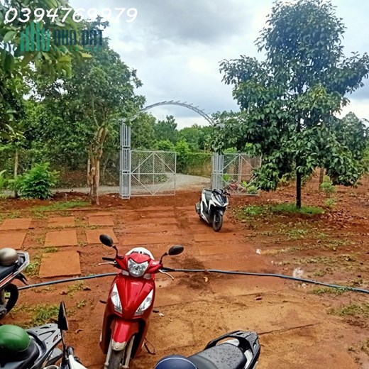 Bán lô đất vườn trái cây diện tích 1000m2 nằm ngay trung tâm xã Bảo Bình, Cẩm Mỹ
