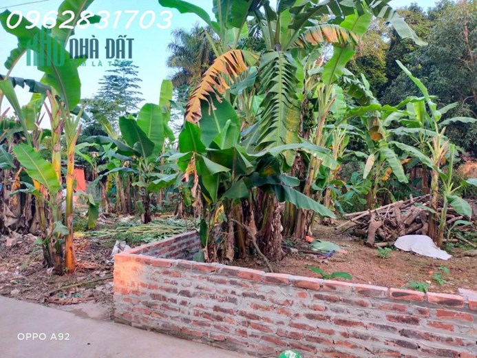 chủ cần tiền bán lô 199m giáp trục chính phú mãn giá cực rẻ