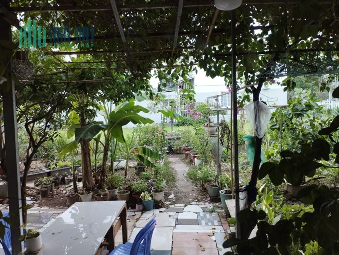 Bán biệt thự vườn Bình Dương - 84 m2 + 250 m2 vườn sử dụng, biệt thự liền kề