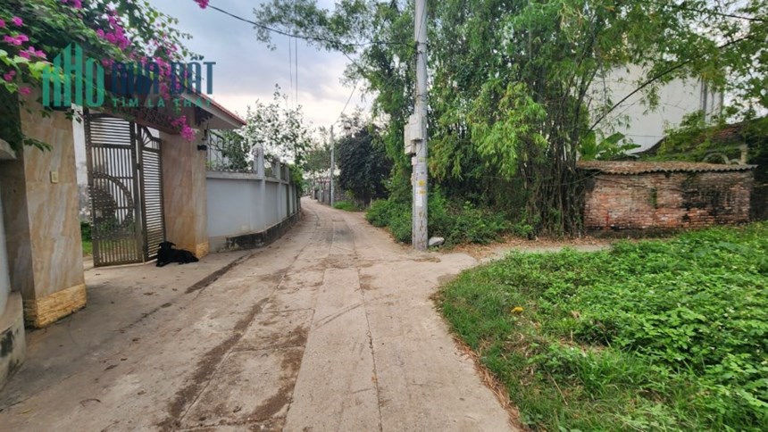 Chính chủ bán đất: Siêu Quần,Tả Thanh Oai, giáp Đấu giá trước nhà ô tô tải. 2 lô sát nhau.