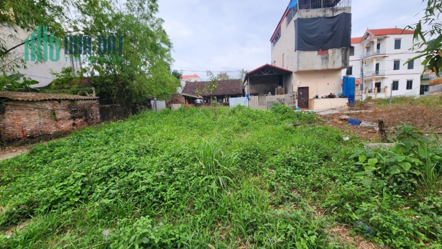 Chính chủ bán đất: Siêu Quần,Tả Thanh Oai, giáp Đấu giá trước nhà ô tô tải. 2 lô sát nhau.