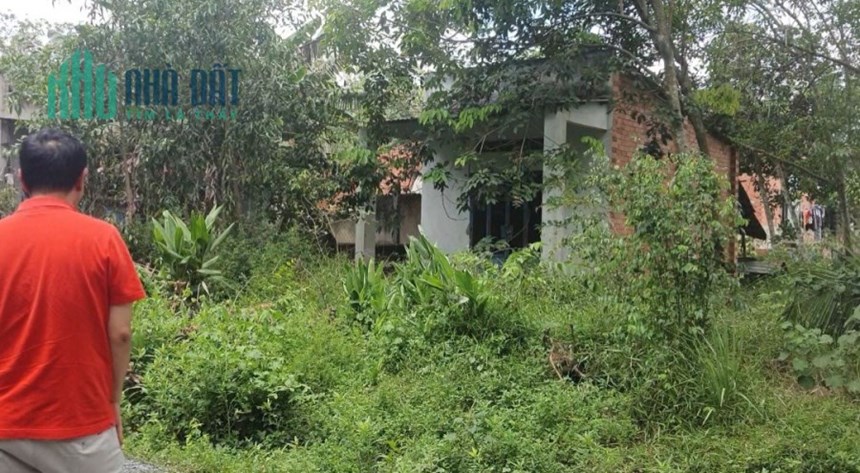 CHÍNH CHỦ cần bán đất Xã Thạnh Đức, Gò Dầu , Tây Ninh