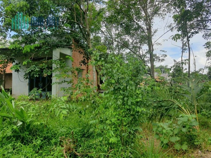 CHÍNH CHỦ cần bán đất Xã Thạnh Đức, Gò Dầu , Tây Ninh