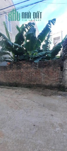 CHÍNH CHỦ GỬI BÁN LÔ 55M TẠI ĐÔNG HỘI, OTO VÀO. NGAY CHÂN CẦU NHẬT TÂN, TÒA EUROWINDOWN. KHU VỰC