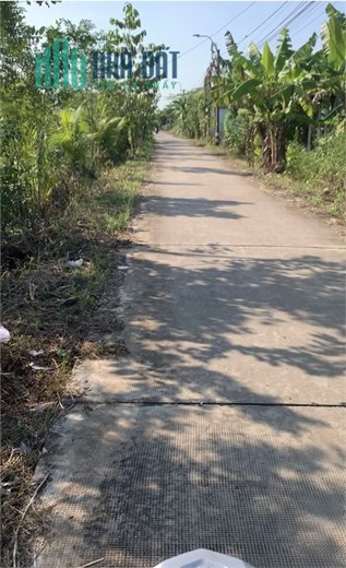Đất thổ cư đường Bờ Chùa, ấp Trong, Phước Hậu, Cần Giuộc