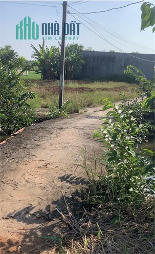 Đất thổ cư đường Bờ Chùa, ấp Trong, Phước Hậu, Cần Giuộc