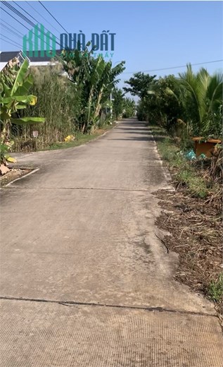 Đất thổ cư đường Bờ Chùa, ấp Trong, Phước Hậu, Cần Giuộc