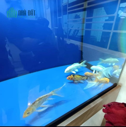 Chung cư view ĐỈNH ngã tư LÊ ĐỨC THỌ 60m2 - 2.5 tỷ