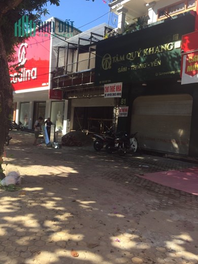 Tôi cần cho Thuê nhà kinh doanh Số nhà 81, Đường Nguyễn Thị Minh Khai, phường Lê Mao, TP Vinh, Nghệ