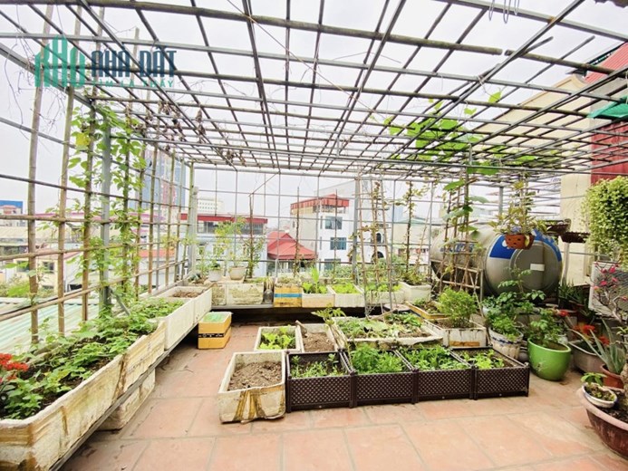 48m Mặt Tiền 4.5m Nhỉnh 8 Tỷ Phân Lô Nhà Chủ Tự Xây Chắc Chắn Trung Tâm Quận Cầu Giấy. Ô Tô Chạy