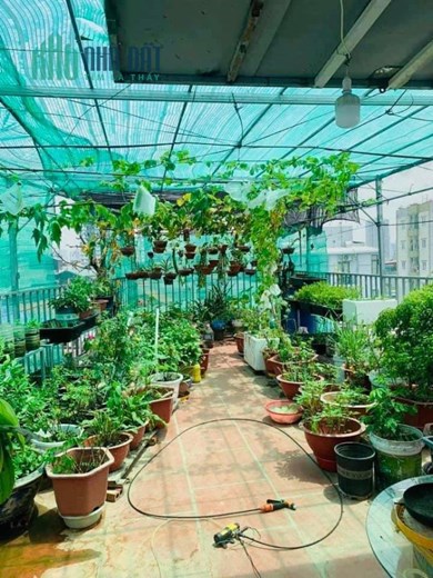 45m 6 Tầng Nhỉnh 10 Tỷ Phân Lô Cầu Giấy. 2 mặ Trước Sau. Nhà Chủ Tự Xây Tâm Huyết Thiện Chí Bán.