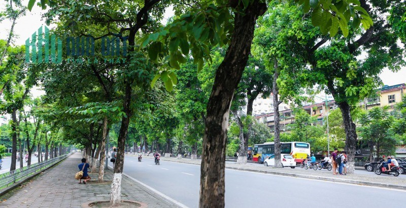 Bán nhà riêng mặt phố Kim Mã Ba Đình 270 tỷ diện tích 600m2,mua bán nhà mặt phố kinh doanh Kim Mã