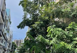 CHỦ NGỘP THỞ OXY CẦN BÁN NHÀ ĐẸP TẶNG FULL NỘI THẤT-HOÀNG QUỐC VIỆT-PHƯỜNG PHÚ THUẬN QUẬN 7