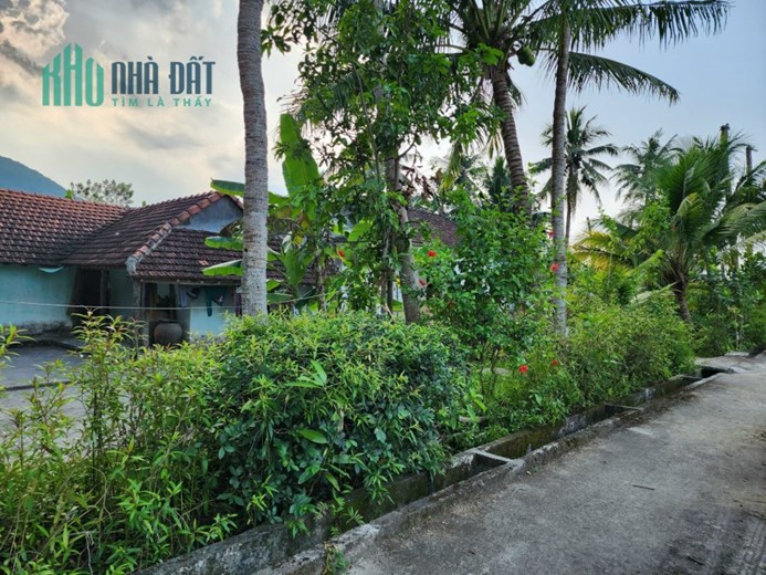 đất mỹ hòa đẹp, giá mềm full thổ