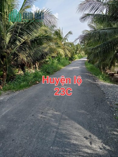 BÁN NHANH đất mặt tiền lộ nhựa tại ấp Hoà Phú,  Chợ Gạo, Tiền Giang