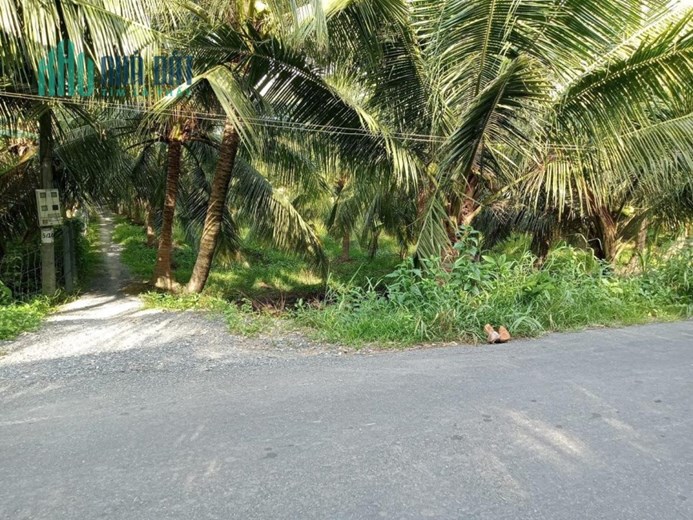 BÁN NHANH đất mặt tiền lộ nhựa tại ấp Hoà Phú,  Chợ Gạo, Tiền Giang