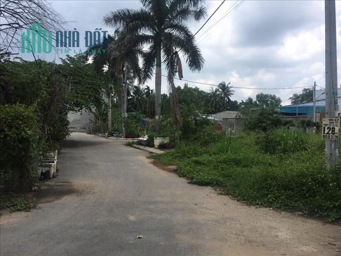 Đất An Phú Đông Q12 - Dt 7x35m – 11.5 Tỷ Thích Hợp Xây Biệt Thự , Nhà Xưởng.